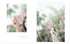 初夏 蔷薇の心情