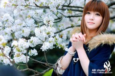 花开的季节