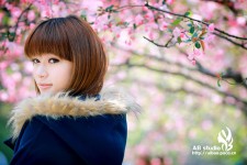 花开的季节