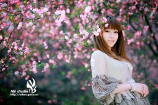 花开的季节