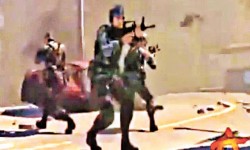 解放軍網上遊戲敵人似美軍