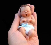 世界上最小的嬰兒