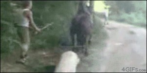忍無可忍，就無需再忍！