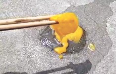 河南「高燒」 43℃樓頂熱力煎熟蛋