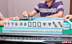 《蘋果記者》直擊千王麻雀機包保 16連莊