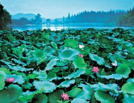杭州西湖列世界遺產