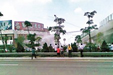 順德村民圖燒死 3公安