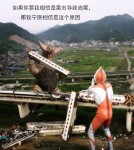 如果你要我相信是雷击导致追尾，那我宁愿相信是这个原因