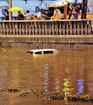京滬重慶 7月下冰雹