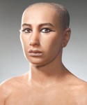 一半瑞士男人 流圖坦卡門血