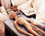 北歐海底大發現　疑似 UFO殘骸
