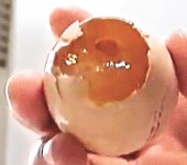 「果凍蛋」未煮已凝固