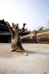 男兒當自強！