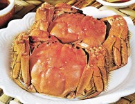 九月底上市　大閘蟹防偽 4招