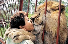 獅子吻恩人