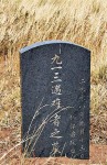 女婿墜機地招魂誓言：林彪遺骸明年回國