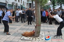 金毛犬當眾被活活打死！