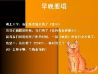这才叫现实。