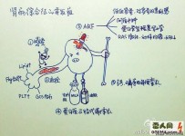 讓人看了驚嘆不已的醫學筆記
