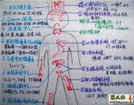 讓人看了驚嘆不已的醫學筆記