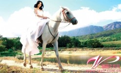 莫文蔚穿白紗騎白馬 唯美婚紗照曝光