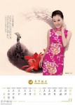 廈航vs華航  (21p)