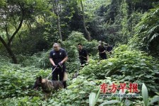 成都军区参与搜捕周克华 警方发现疑似藏匿山洞