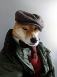 型犬 Model ，百變表情演繹秋冬時裝！
