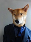 型犬 Model ，百變表情演繹秋冬時裝！