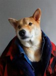 型犬 Model ，百變表情演繹秋冬時裝！