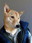 型犬 Model ，百變表情演繹秋冬時裝！