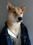 型犬 Model ，百變表情演繹秋冬時裝！