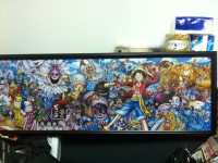 One Piece Puzzle