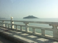 最近拍的