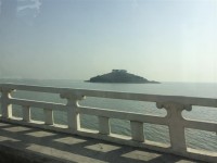 最近拍的