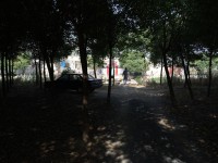 最近拍的