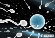 男人的精子　女人可以吃嗎？