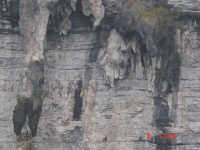 能看到什么