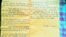 妹妹手書萬言“泡妞攻略”幫哥哥找女友(圖