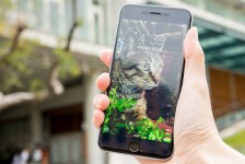 iPhone 要 6 還是要 6 Plus？
