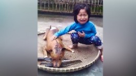 轉貼：「原隻豬」湯拉麵