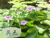 不错不错