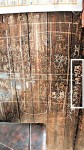 同學收300元設陷阱，浙江逾10女生被姦