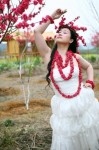 传淘宝与芙蓉姐姐签约（图）