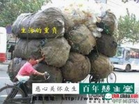 从网上找来的一些图片---------也许.................