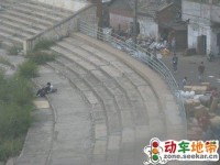 雷！中学生在体育场内龌龊一幕惨遭偷拍