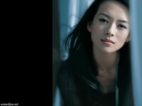 北京籍女明星哪个最漂亮