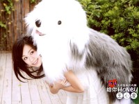 少男杀手 王心凌【11P】