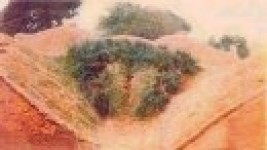 巧夺天工...