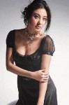 身价8位数的星女郎 张雨绮妩媚写真